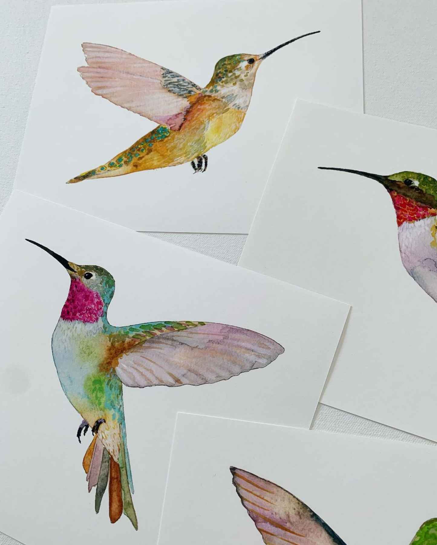 Hummingbird Print