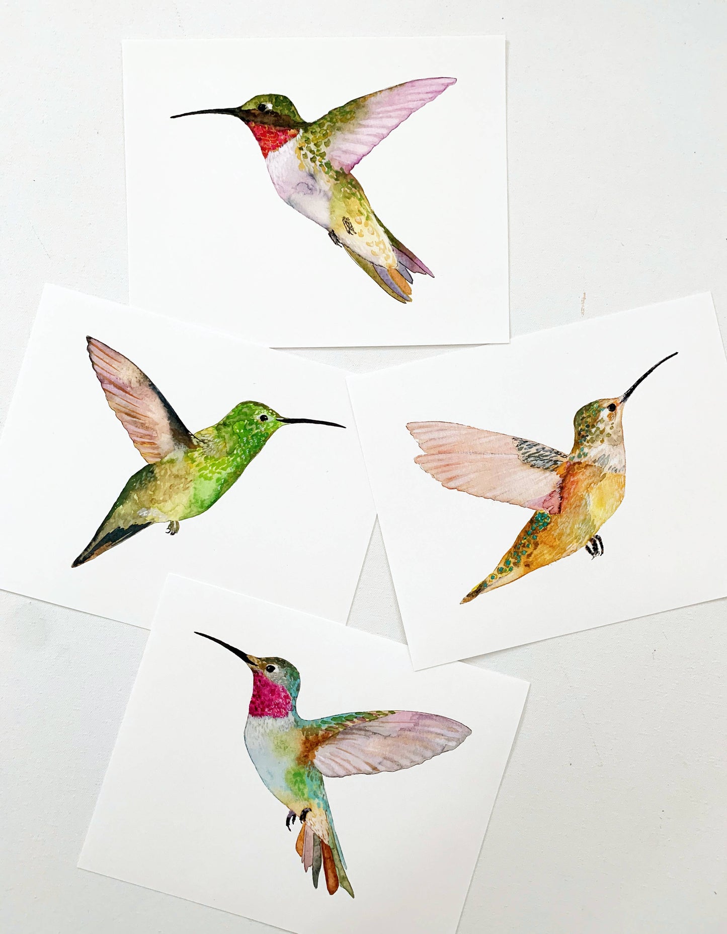 Hummingbird Print