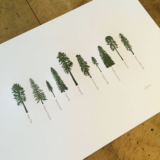 Handcrafted Letterpress Conifer Trees Wall Print - 12" x 18"